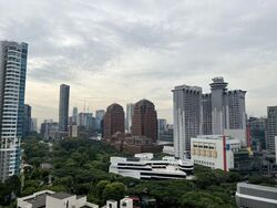 The Suites At Central (D9), Condominium #585581101